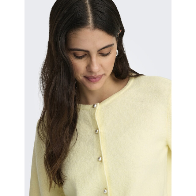 Jacqueline de Yong Jdyrue life 24 pearl cardigan licht 4249.11.0008 large