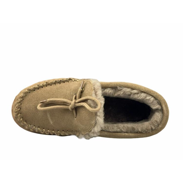 Warmbat Koala women Koala Women large