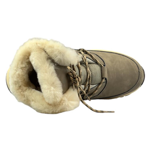 Warmbat Abbott Abbott large