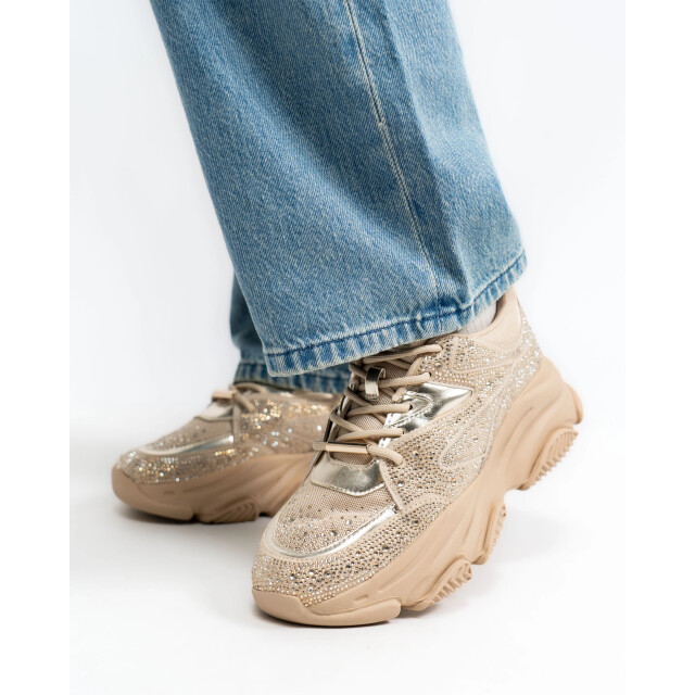 Steve Madden Privy sneaker 50130 large