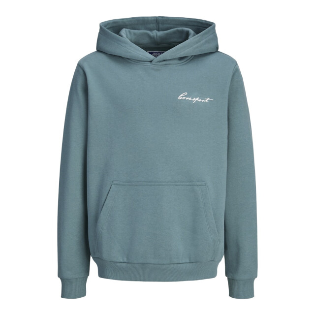 Jack & Jones Jcodust script sweat hood sa26 jnr oud 3209.23.0003 large