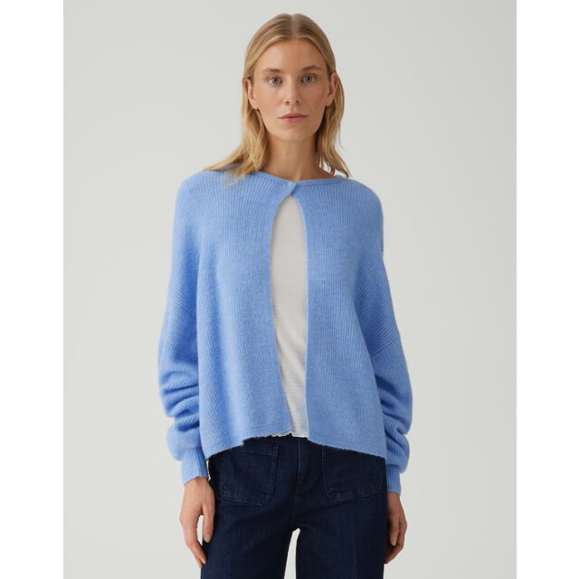 Opus Deriana 10518313874413 licht 4249.31.0011 large