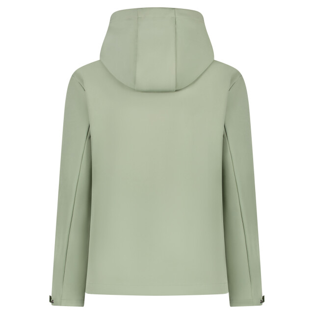 Cars 6226644 SAFA Polyester / EA Moss large