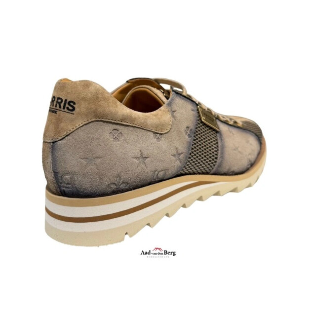 Harris Herenschoenen sneakers FDM-22 large