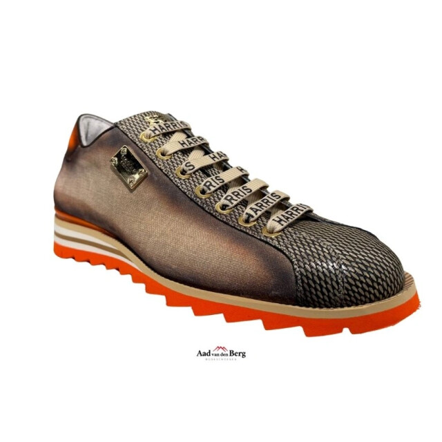 Harris Herenschoenen sneakers 2892p large