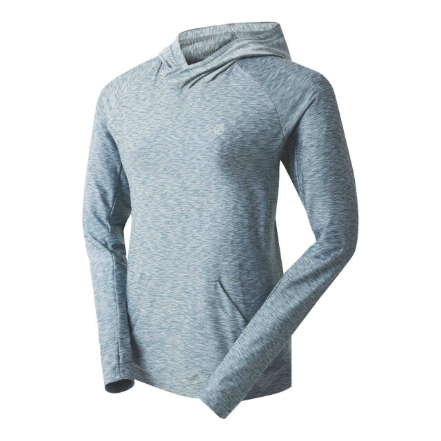 Dare2b Regatta dames sprint city lichtgewicht hoodie UTRG4152_elementgreymarl large