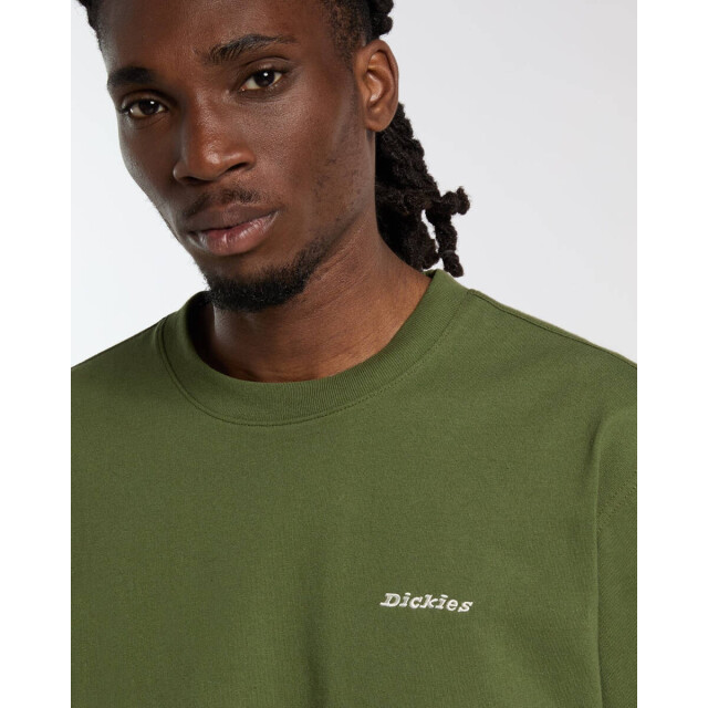 Dickies T-shirt korte mouw dk0a89enk721 Dickies T-shirt korte mouw DK0A89ENK721 large