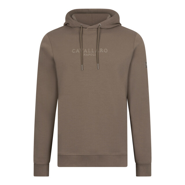 Cavallaro Cavallaro hoodie 109043-001-L large