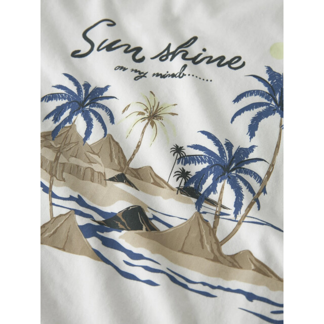 Name It Jongens korte pyjama set shortama nkmnightset wit/blauw palm print 13257124-Bluefin large