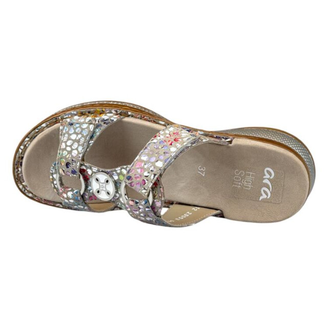 Ara 12-29003 hawaii 12-29003 HAWAII large