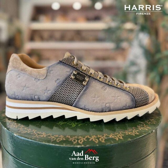 Harris Herenschoenen sneakers FDM-22 large