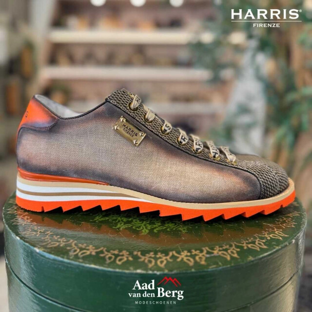 Harris Herenschoenen sneakers 2892p large