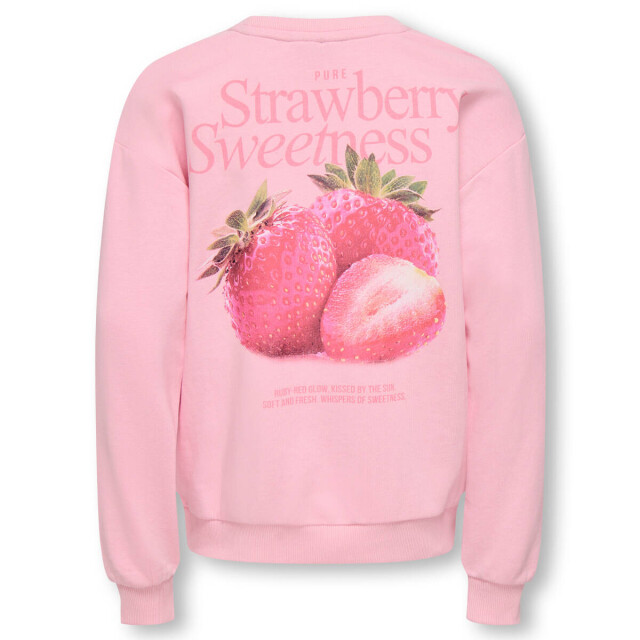 Only Sweat 15365507 kogphile Kids Only Sweat 15365507 KOGPHILE large