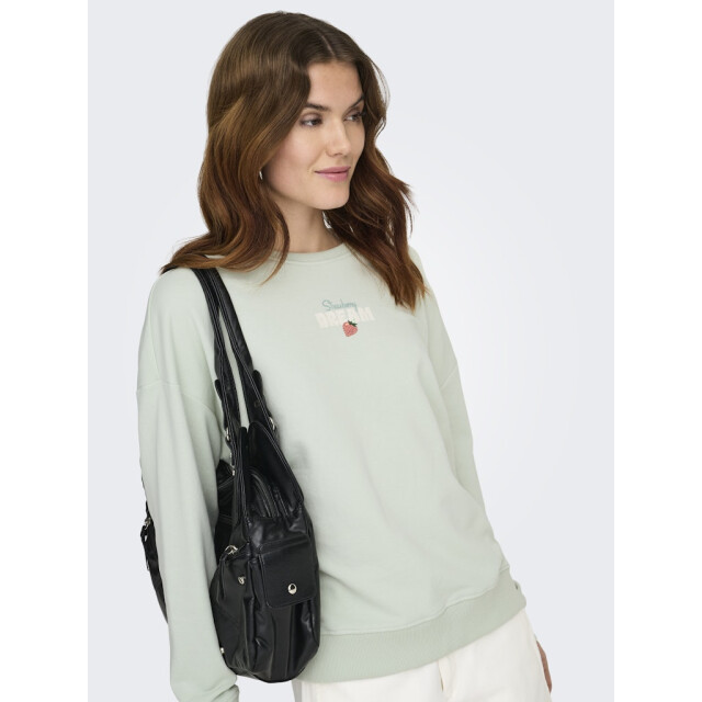 Only Onlkita ls sweat box ub cs swt mint 4209.21.0002 large