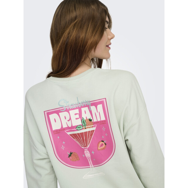 Only Onlkita ls sweat box ub cs swt mint 4209.21.0002 large