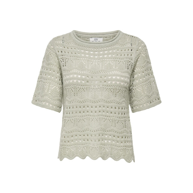 Jacqueline de Yong Jdysun lay 24 pullover knt noos olijf 4219.22.0037 large