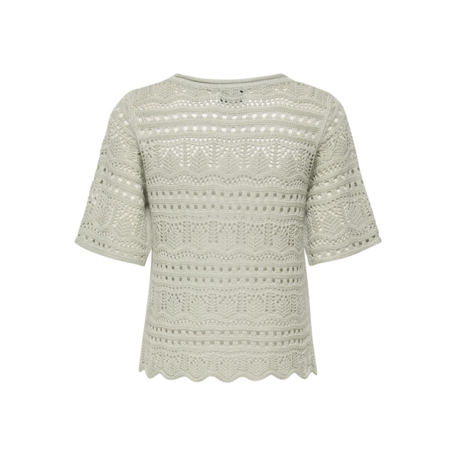 Jacqueline de Yong Jdysun lay 24 pullover knt noos olijf 4219.22.0037 large