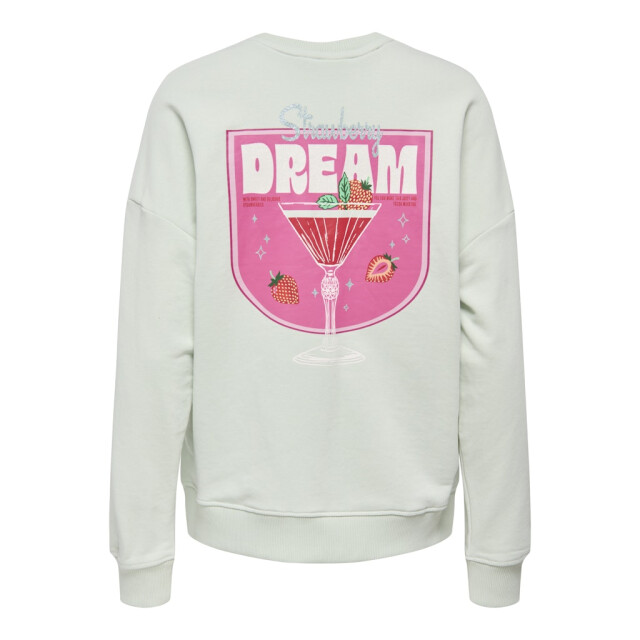 Only Onlkita ls sweat box ub cs swt mint 4209.21.0002 large