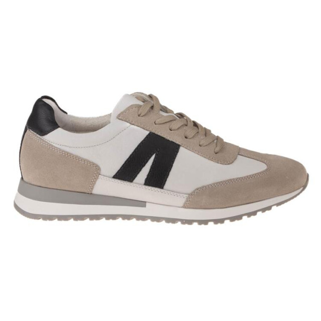 Ara 11-26904 gino 11-26904 Gino large