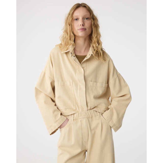 Knit-ted Jasje 261p116 daisy Knit-ted Jasje 261P116 Daisy large