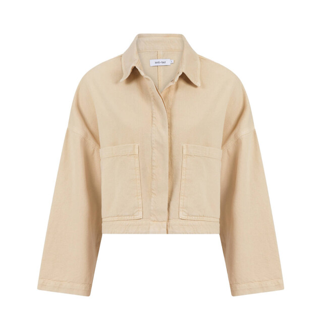 Knit-ted Jasje 261p116 daisy Knit-ted Jasje 261P116 Daisy large