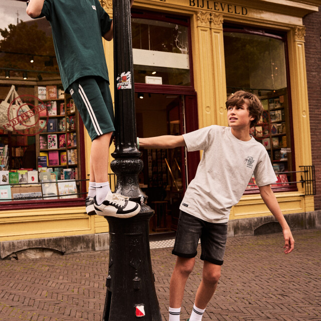 Indian Blue 96643  960643  large