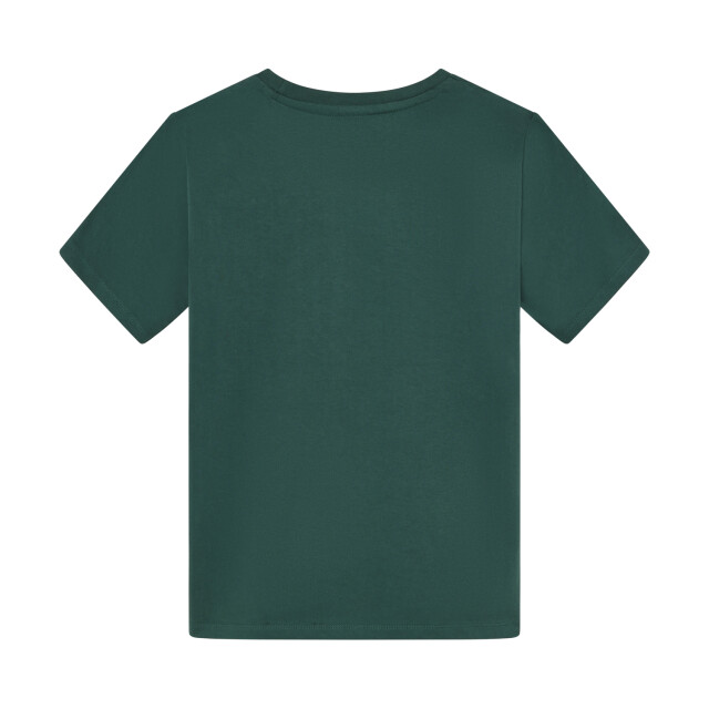 Indian Blue 96643  960643  large