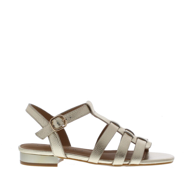 Di Lauro Desiree vlecht sandaal | maat: | | dames | leer 111079 large