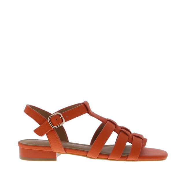 Di Lauro Desiree vlecht sandaal | maat: | | dames | leer 111079 large