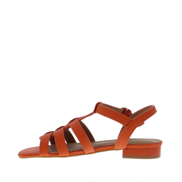 Di Lauro Desiree vlecht sandaal | maat: | | dames | leer 111079 large