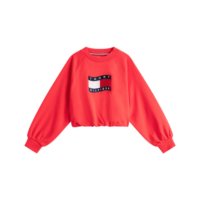 Tommy Hilfiger Sweat kg0kg09236 Tommy Hilfiger Sweat KG0KG09236 large