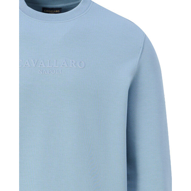 Cavallaro Cavallaro sweater 109039-001-S large