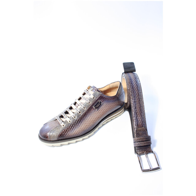 Harris 10  10  large