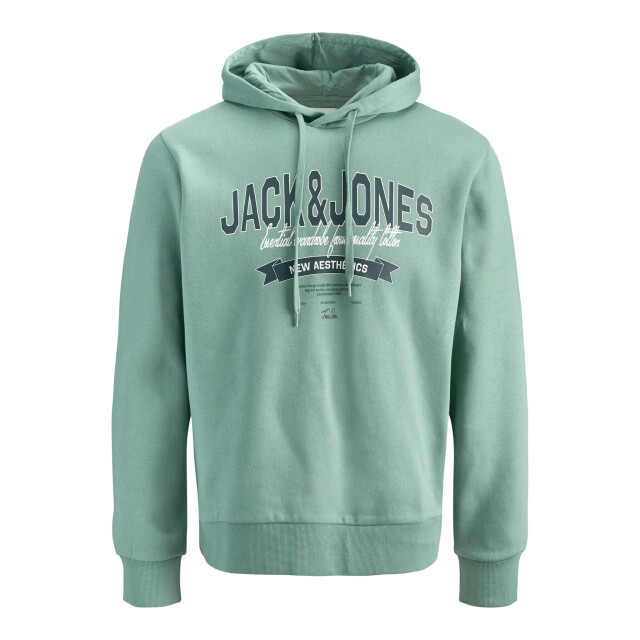 Jack & Jones Heren hoodie jjelogo logo print turquoise 12279649-Mineral Blue large