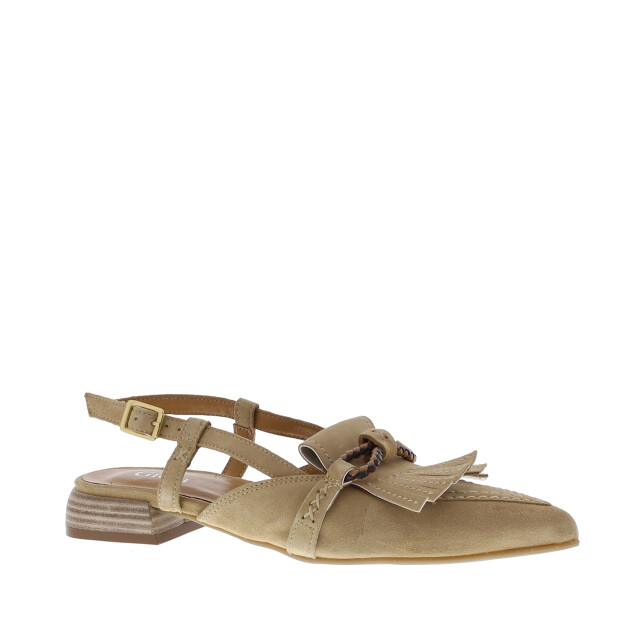 Gioia 2611202 | maat: | kleur: | dames open-pumps | materiaal: suède 110992 large