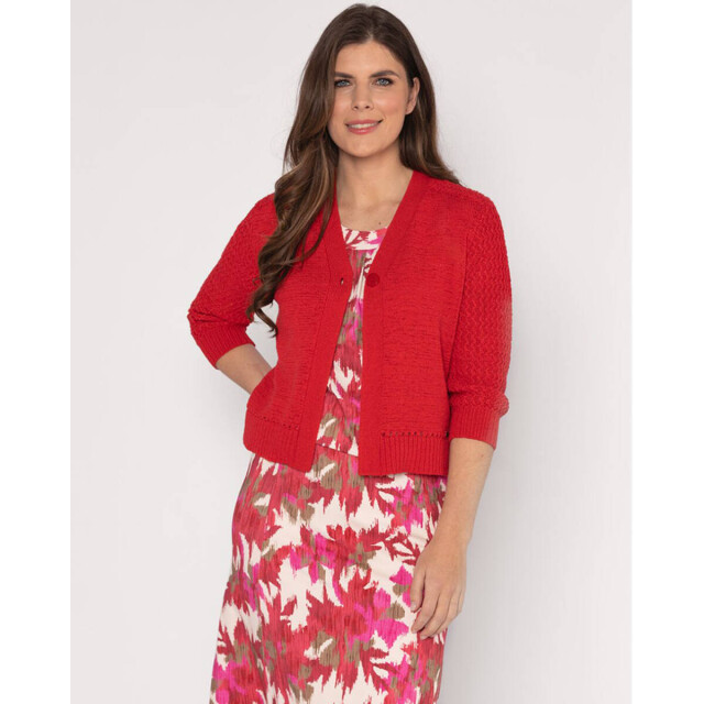 Roberto Sarto T-shirt 611128 Roberto Sarto T-shirt 611128 large