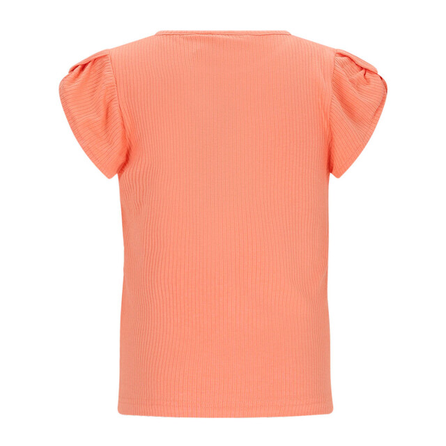 NoNo Top korte mouw n602-5405 kapri No-No Top korte mouw N602-5405 Kapri large