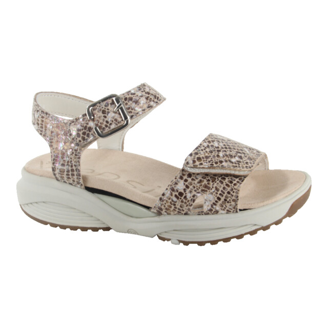 Xsensible Xsensible 30312.5.428-H Sandalen Beige Xsensible 30312.5.428-H large