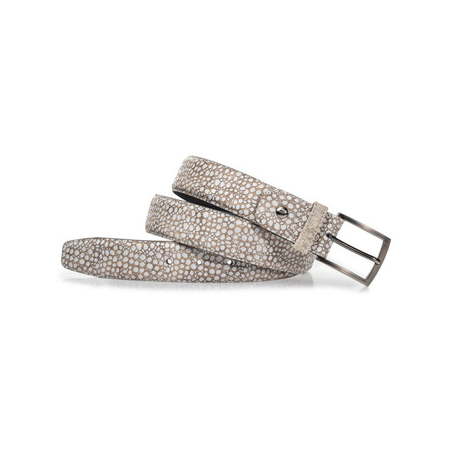 Floris van Bommel Floris van Bommel Riem CFM-10074-22-07 Riemen Bruin Floris van Bommel Riem CFM-10074-22-07 large