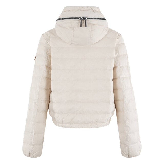 Moscow Jack 10-08-glenda MSCW Jack 10-08-Glenda large