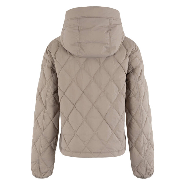 Moscow Jack 11-08-yasmin MSCW Jack 11-08-Yasmin large