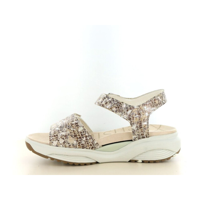 Xsensible 290.97.026 Sandalen Goud 290.97.026 large