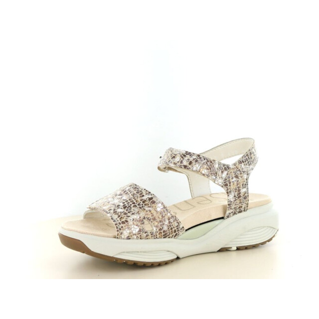 Xsensible 290.97.026 Sandalen Goud 290.97.026 large