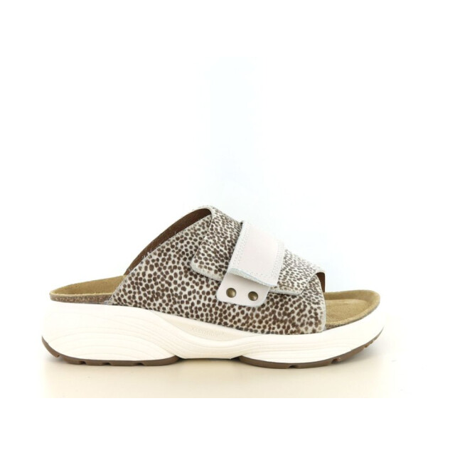 Xsensible 281.01.462 Slippers Print / Multi 281.01.462 large