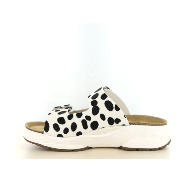 Xsensible 281.01.028 Slippers Print / Multi 281.01.028 large