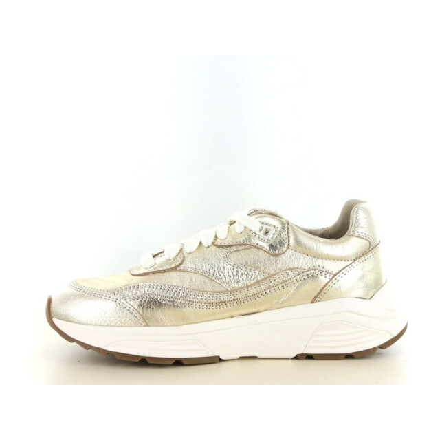 Xsensible 237.97.083 Sneakers Goud 237.97.083 large