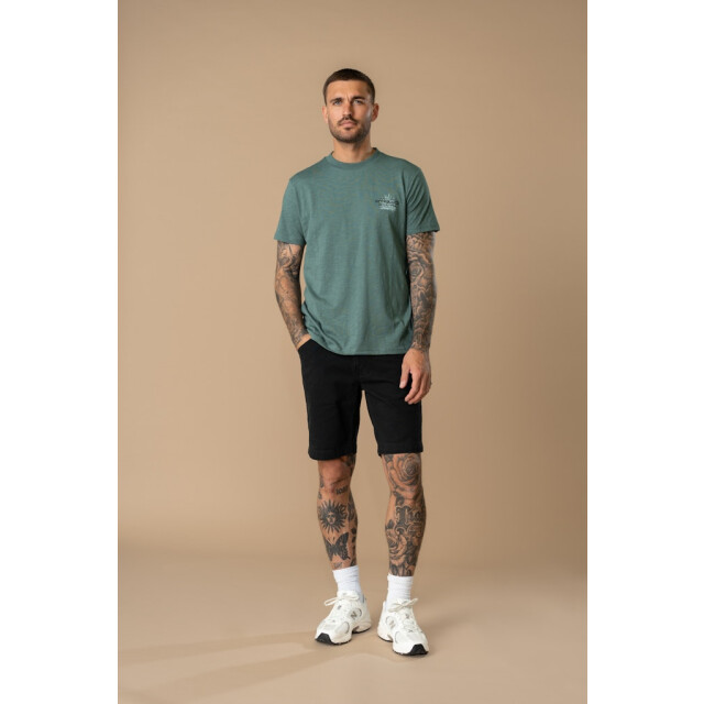 Petrol Industries Men t-shirt ss oud 5339.23.0016 large