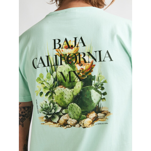 Petrol Industries Men t-shirt ss mint 5339.21.0019 large