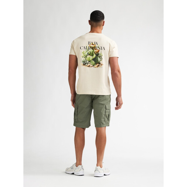 Petrol Industries Men t-shirt ss beige 5339.05.0038 large