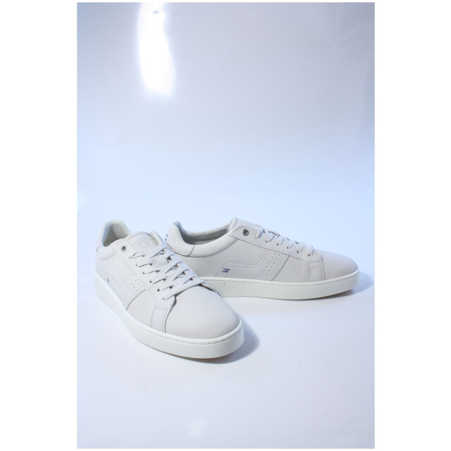 Greve 2124 rf.01 wave  2124 RF.01 Wave  large